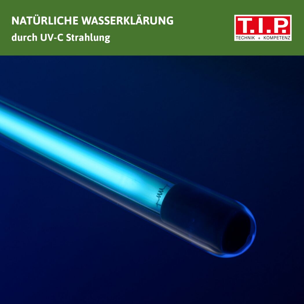 UV-C Lampe zur Wasserklärung