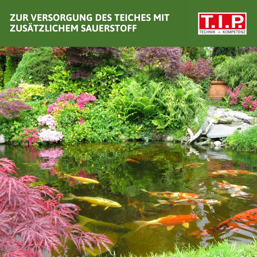 Teich mit Kois und Seerosen
