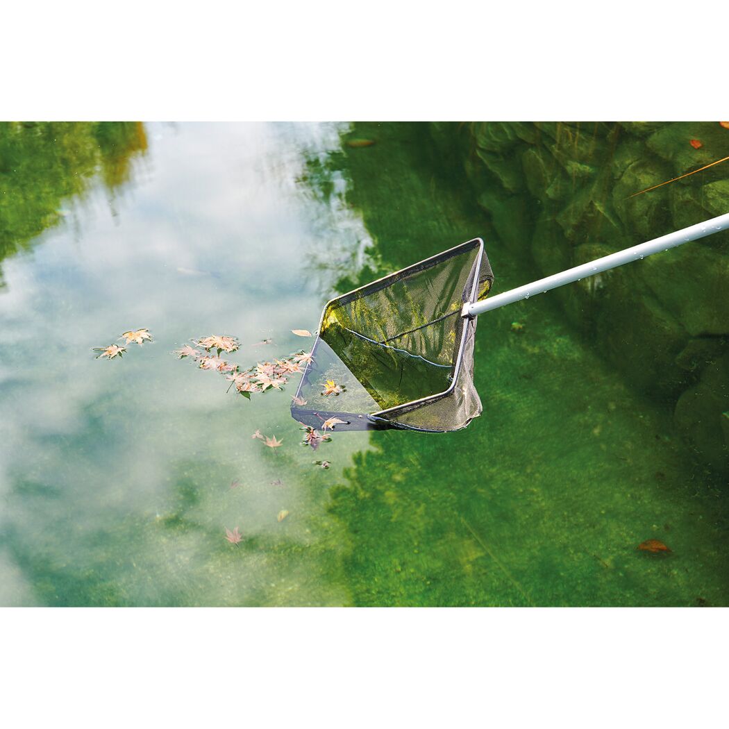 Kescher im Teich mit Blättern