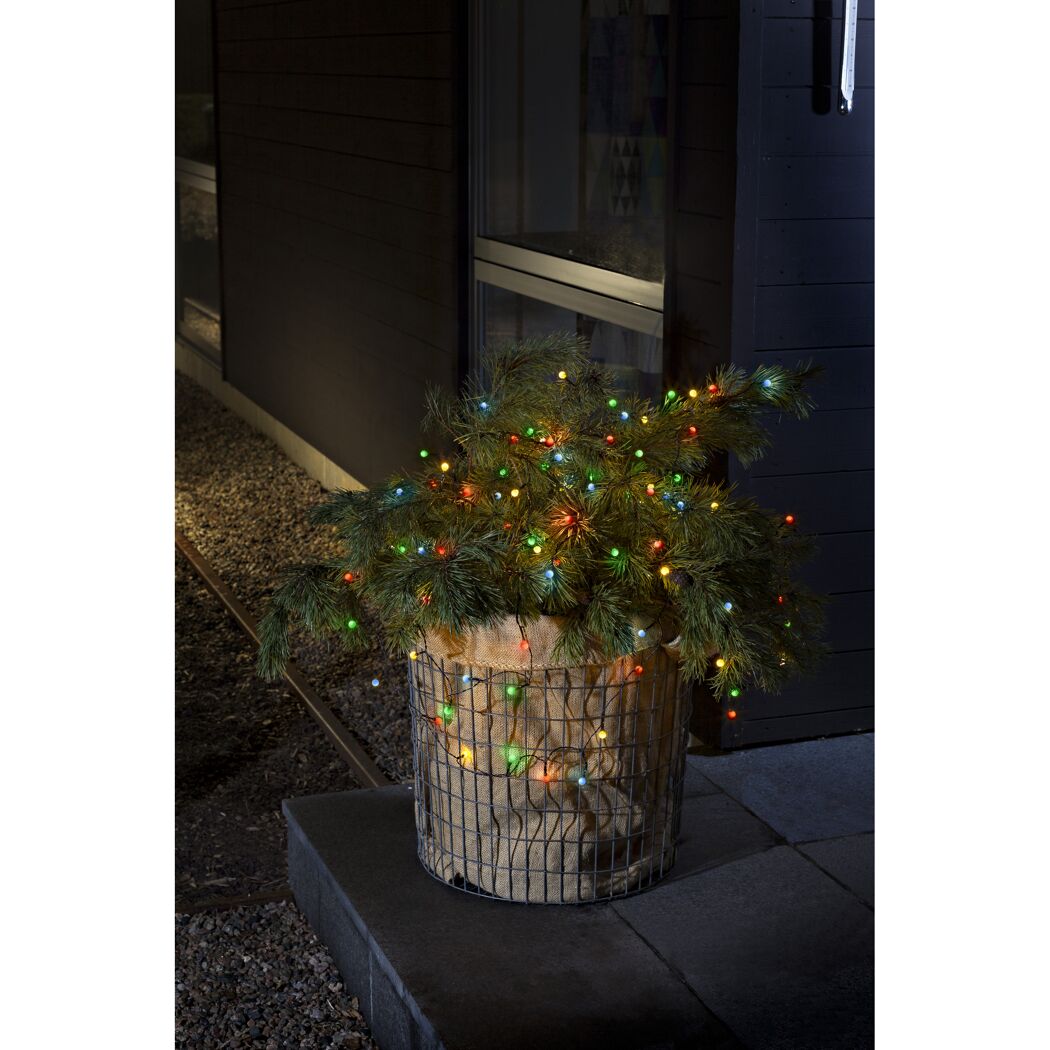 Buchsbaum mit bunter Lichterkette im Drahtkorb