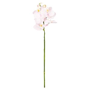 Orchidee gestielt 60 cm zartrosa