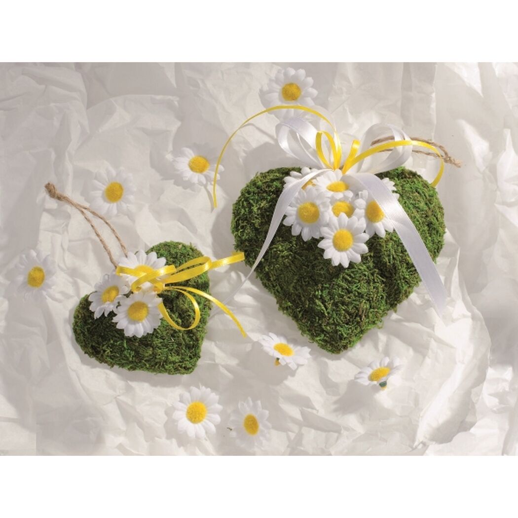 Zwei Moosherzen mit Gänseblümchen und Schleifenband