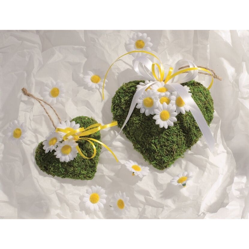 Zwei Moosherzen mit Gänseblümchen und Schleifenband