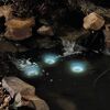 LED-Leuchtring für Wasserspielpumpen, mit Adapter