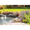 Gartenteich mit Springbrunnen und Lavendel
