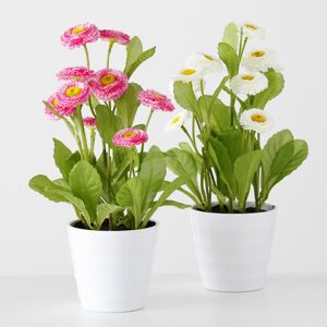 Topfpflanze 'Bellis' Kunststoff Ø 9 x 30 cm, 2 Farben sortiert