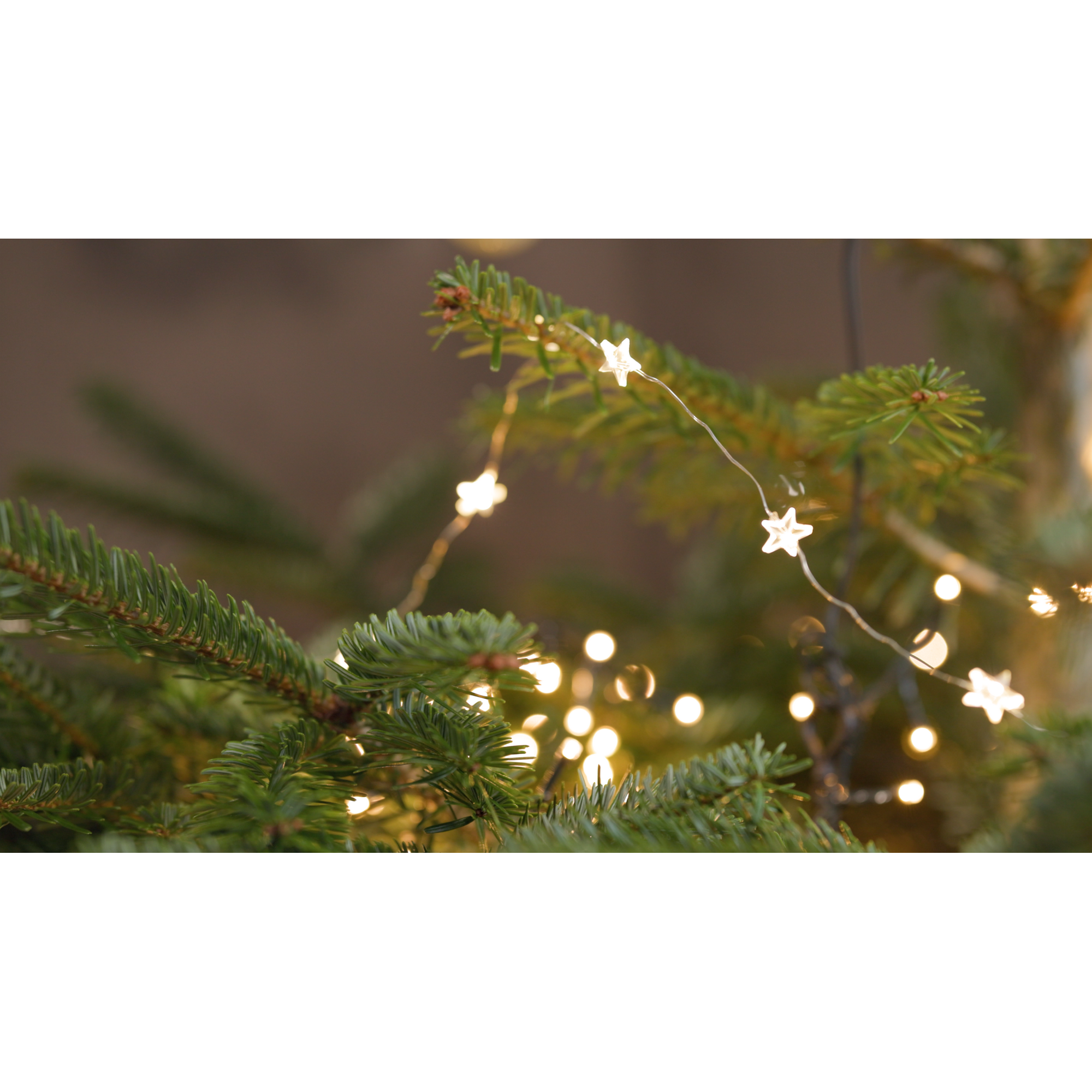 LED-Draht-Lichterkette 'Sterne' 20 LEDs warmweiß 150 cm