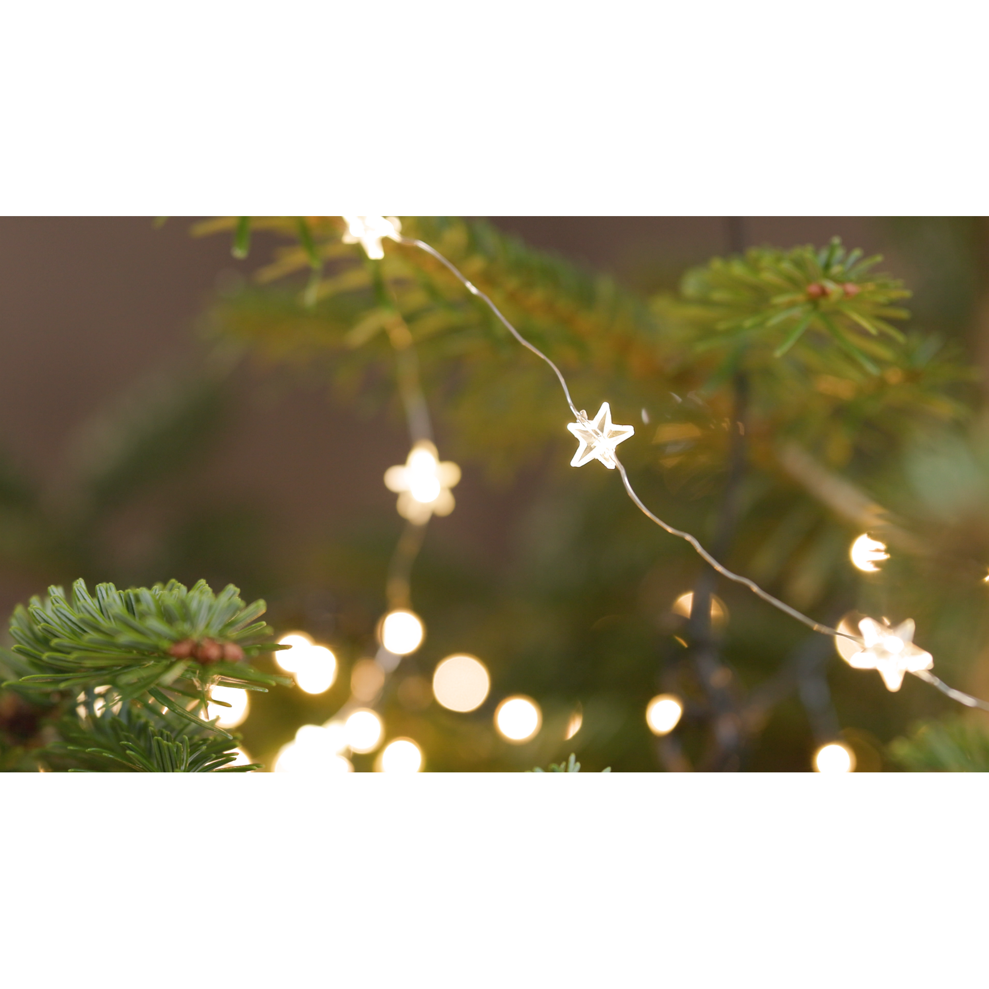 LED-Draht-Lichterkette 'Sterne' 20 LEDs warmweiß 150 cm