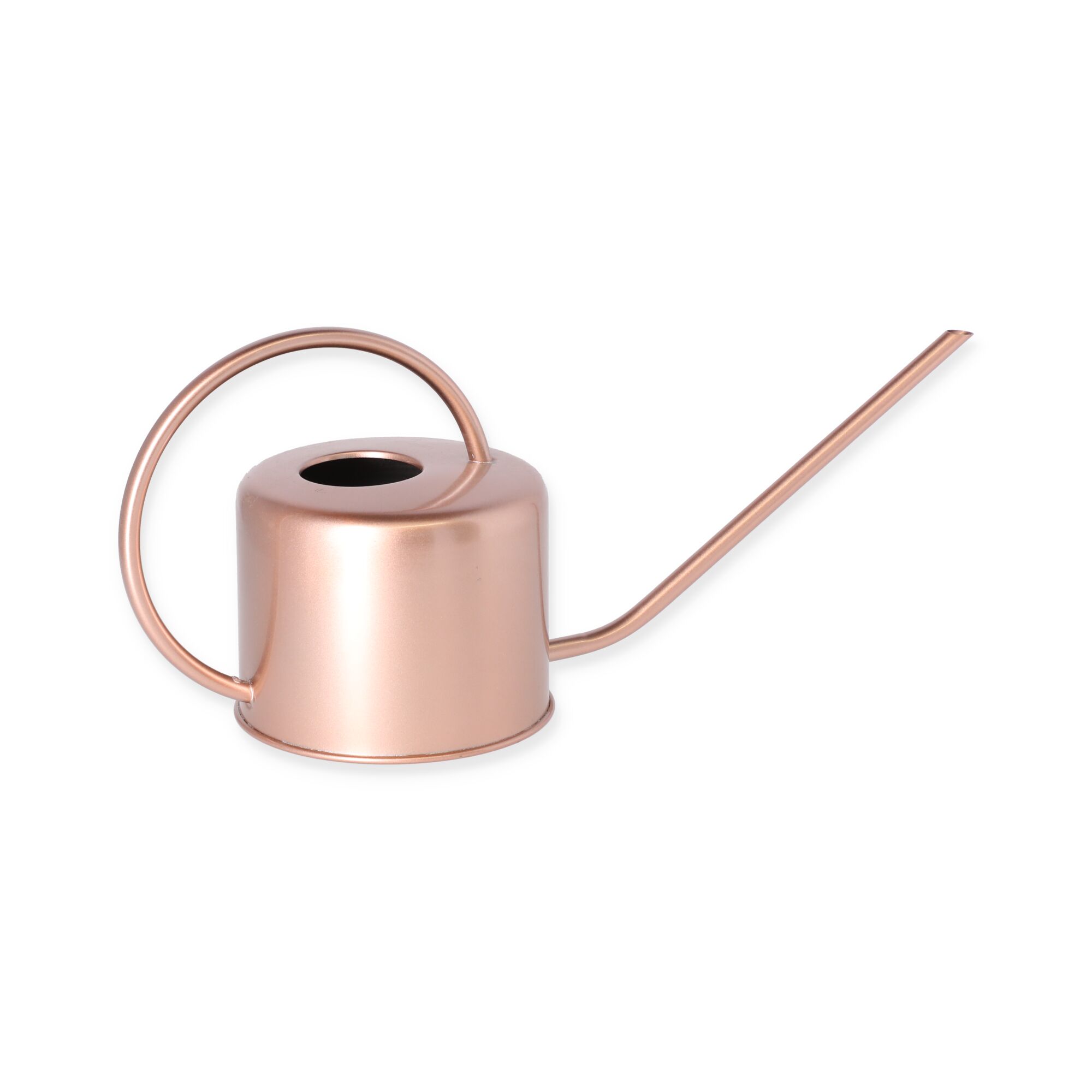 Roségoldene Gießkanne
