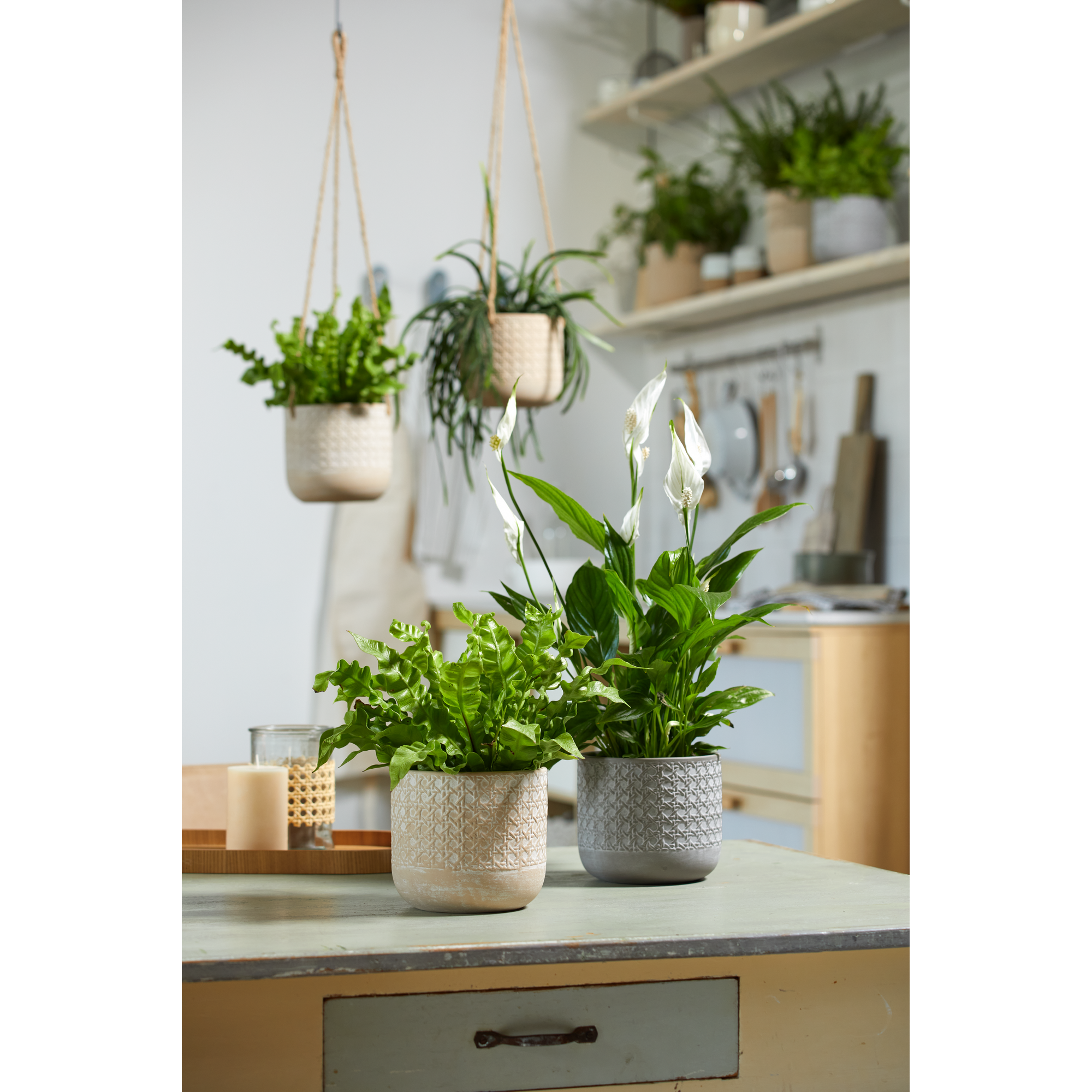 Übertopf 'Vienna' seidengrau Ø 21 x 19 cm