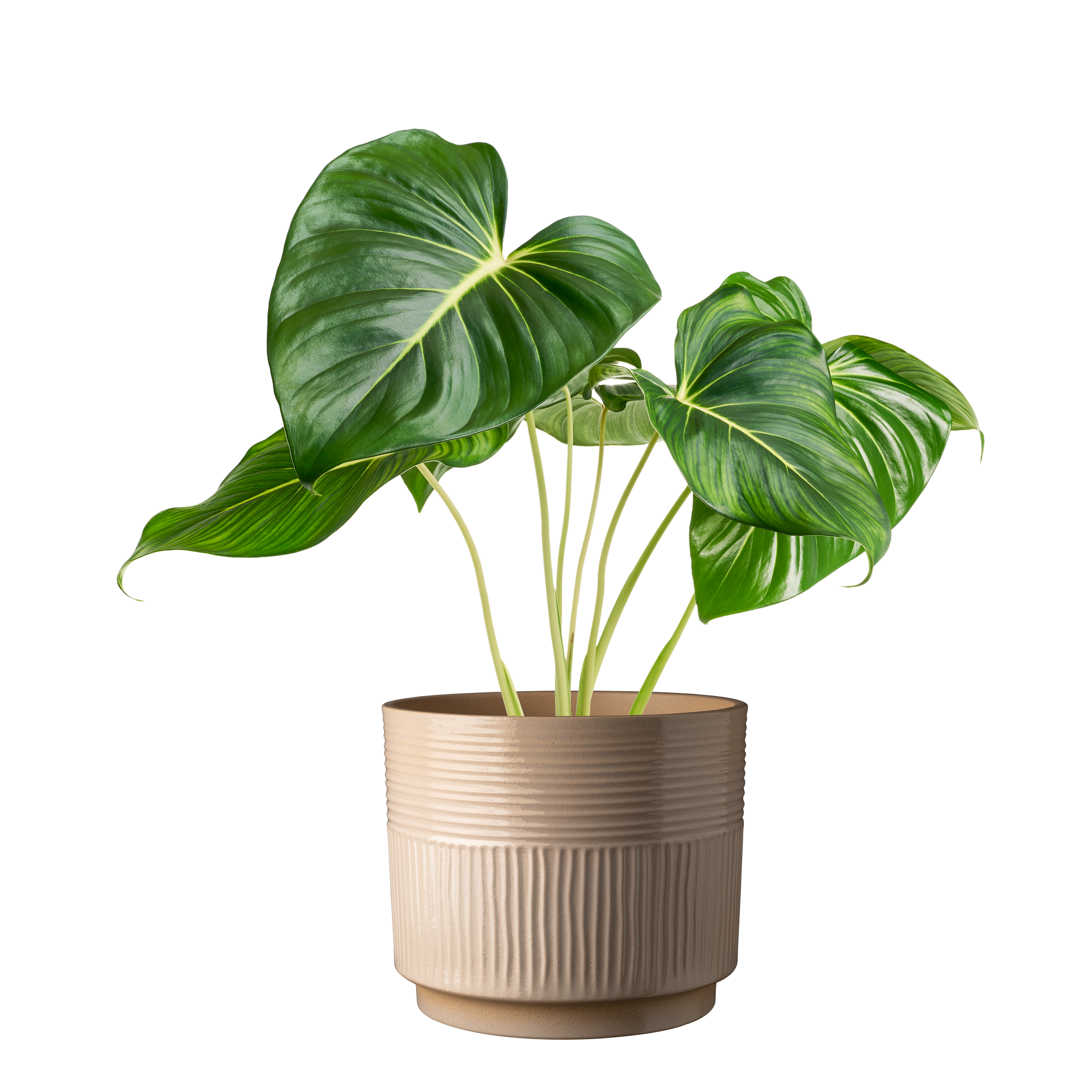 Übertopf 'Nara' Terra Lehm Lasur Ø 22 x 19 cm