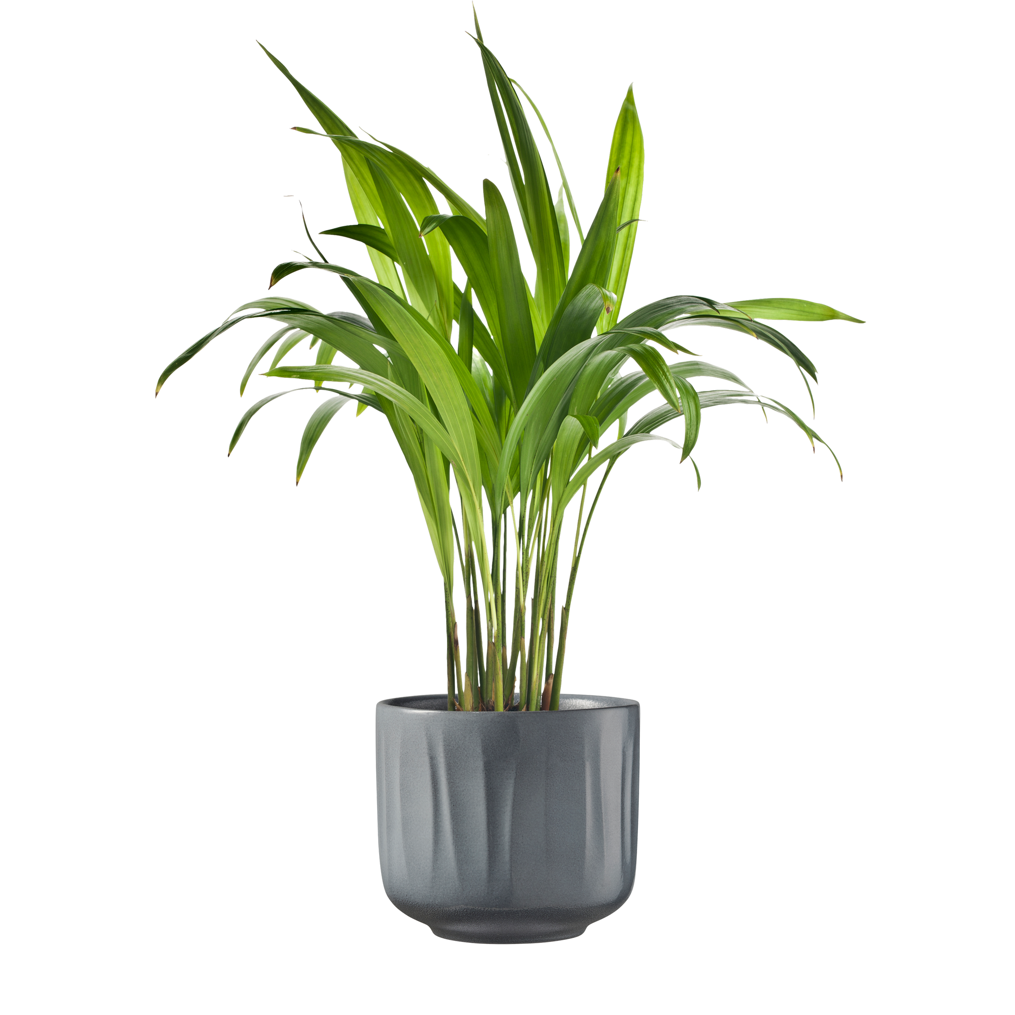 Übertopf 'Bagua' hellgrau lasur Ø 13 x 12 cm