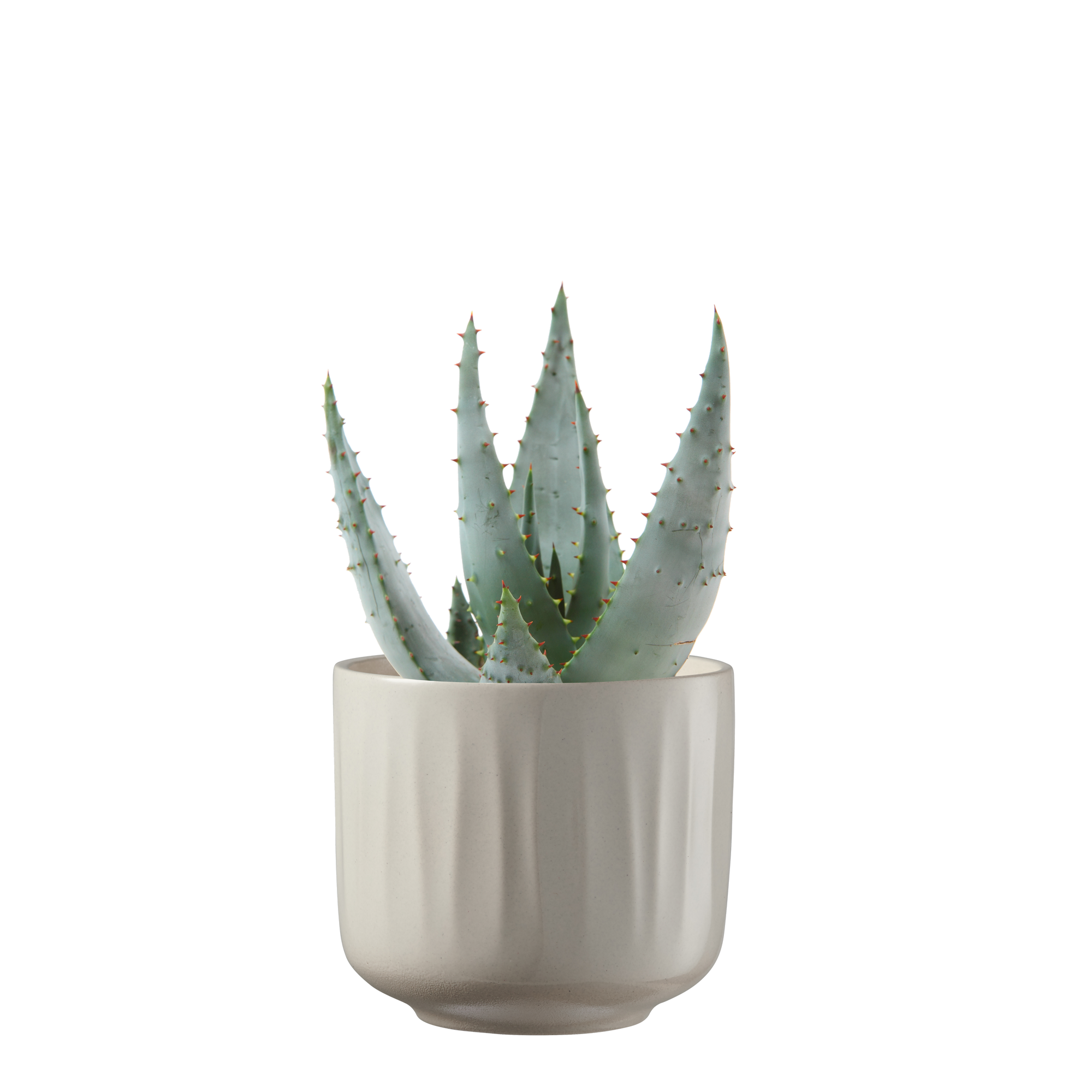 Übertopf 'Bagua' creme lasur Ø 19 x 17 cm