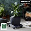 Pflanzenroller 'Nature GH 0159' Kiefernholz anthrazit 29 x 29 cm