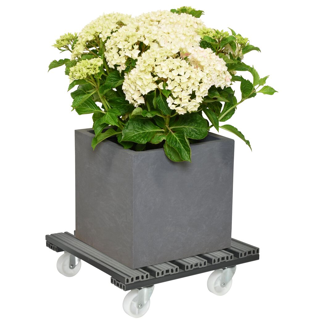 Pflanzenroller WPC anthrazit 38,5 x 38,5 cm