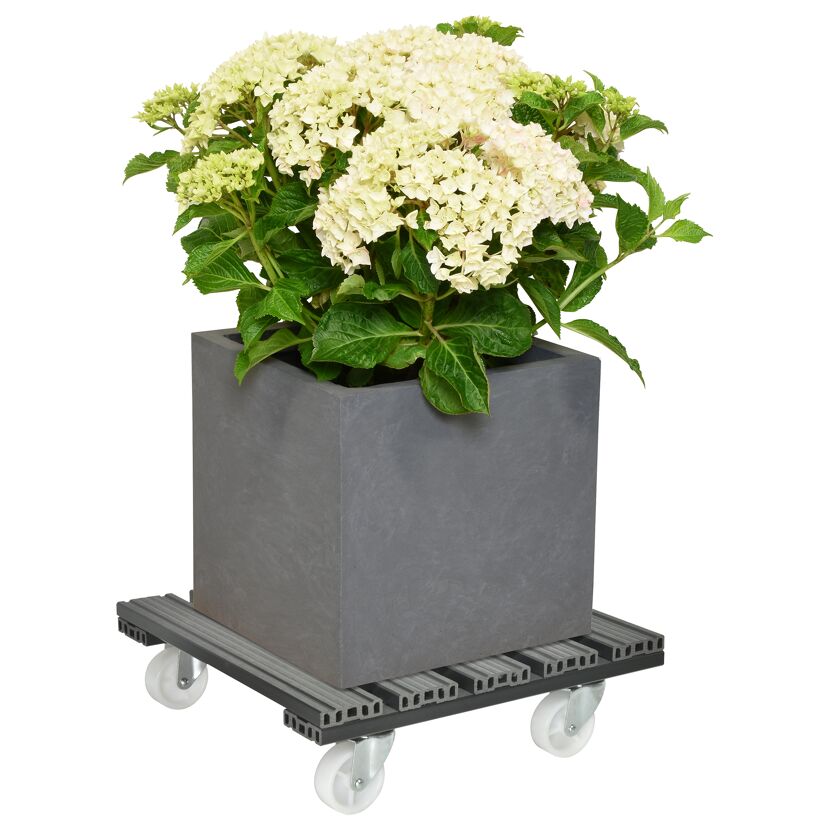 Pflanzenroller WPC anthrazit 38,5 x 38,5 cm