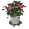 Hortensie im Korb auf WPC-Roller