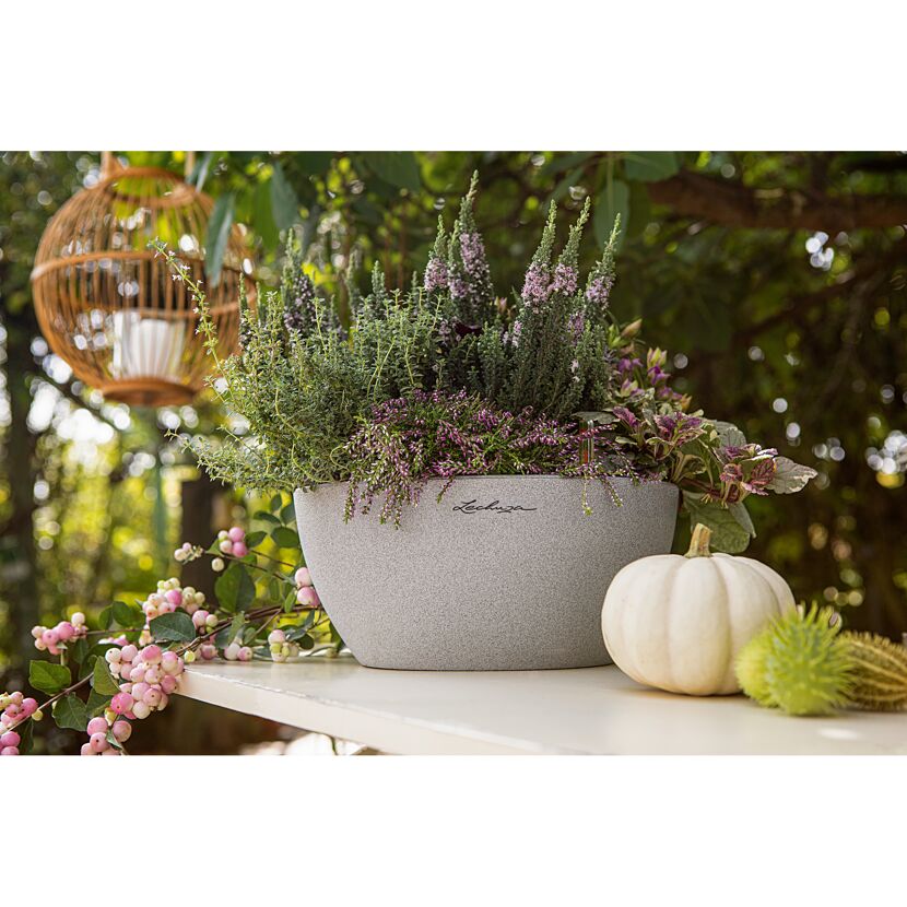 Grauer Lechuza-Blumentopf mit Pflanzen