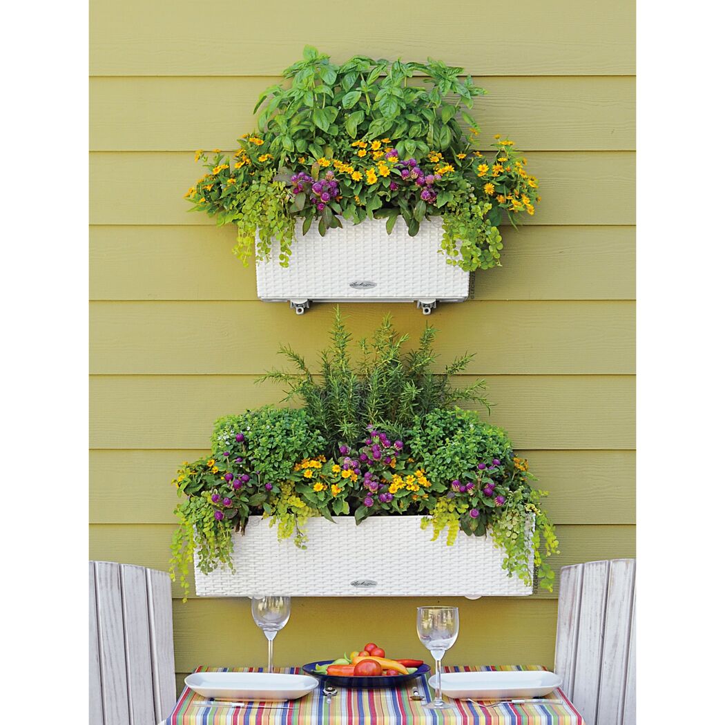 Zwei weiße Balkonkästen mit Kräutern und Blumen