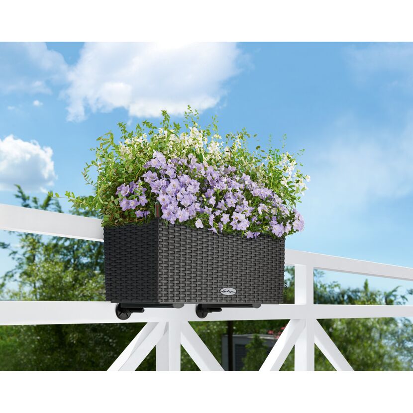 Balkonkasten Cottage 50 cm granit mit Blumen bepflanzt