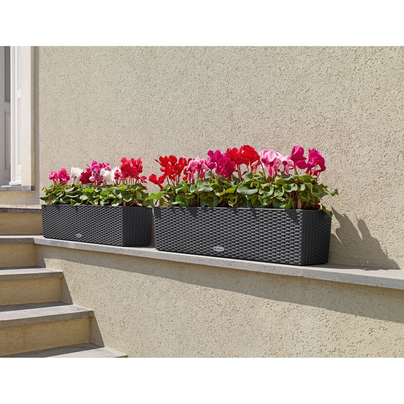 Zwei graue Balkonkasten mit rosa und weißen Alpenveilchen