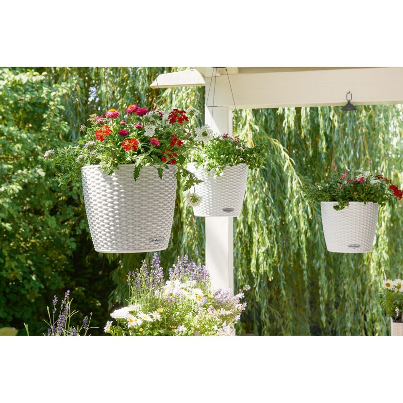 Drei weiße Hängeampeln mit Blumen