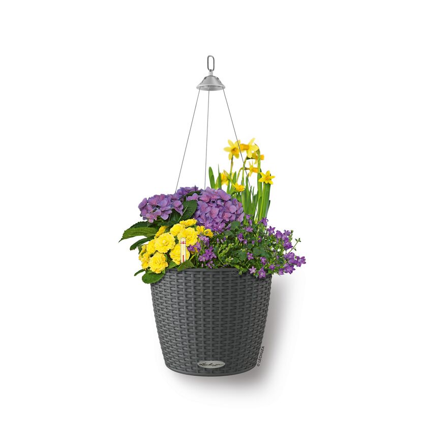 Hängender Blumentopf mit verschiedenen Blumen