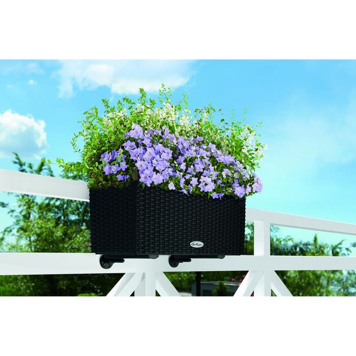 Blumenkasten 'BALCONERA Color 50' Kunststoff graphitschwarz 50 x 19 x 19 cm