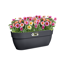 Balkonkasten 'Vibia Campana Easy Hanger L' 46 x 24 x 26,5 cm schwarz