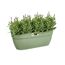 Balkonkasten 'Vibia Campana Easy Hanger L' 46 x 24 x 26,5 cm grün