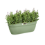 Balkonkasten 'Vibia Campana Easy Hanger L' 46 x 24 x 26,5 cm grün