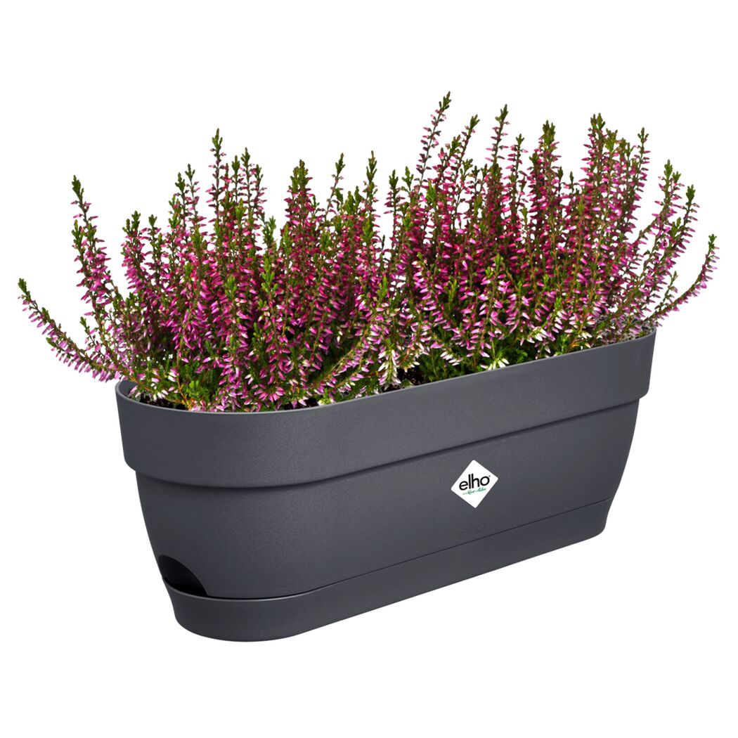 Balkonkasten 'Vibia Campana' 49 x 18 x 17 cm schwarz