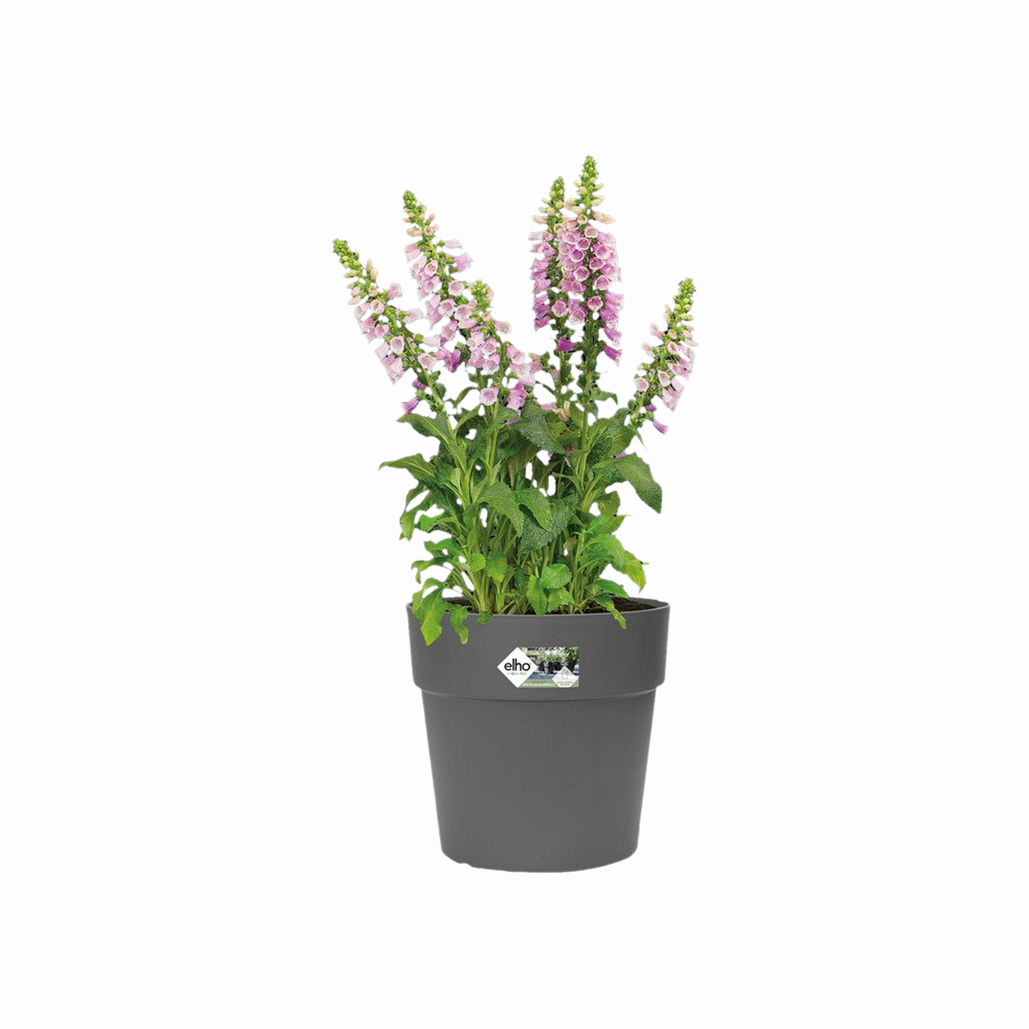 Blumentopf 'Vibia Straight' rund anthrazit Ø 25 cm + product picture