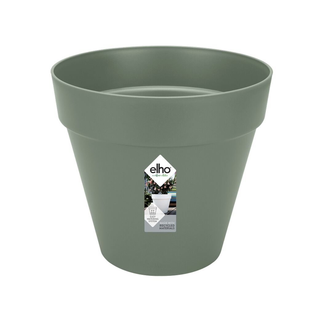 Grüner Blumentopf