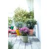 Bunte Blumentöpfe auf Holzterrasse