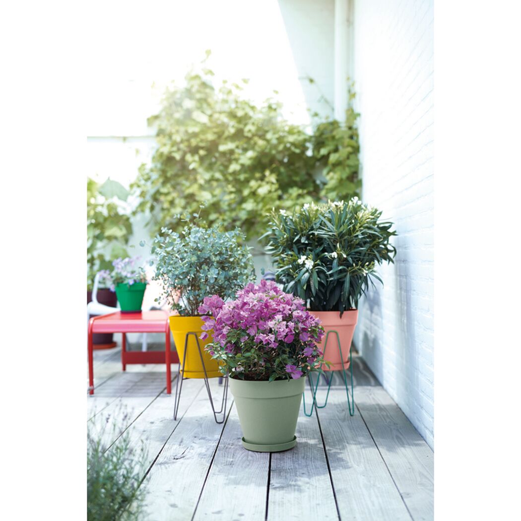 Bunte Blumentöpfe auf Holzterrasse