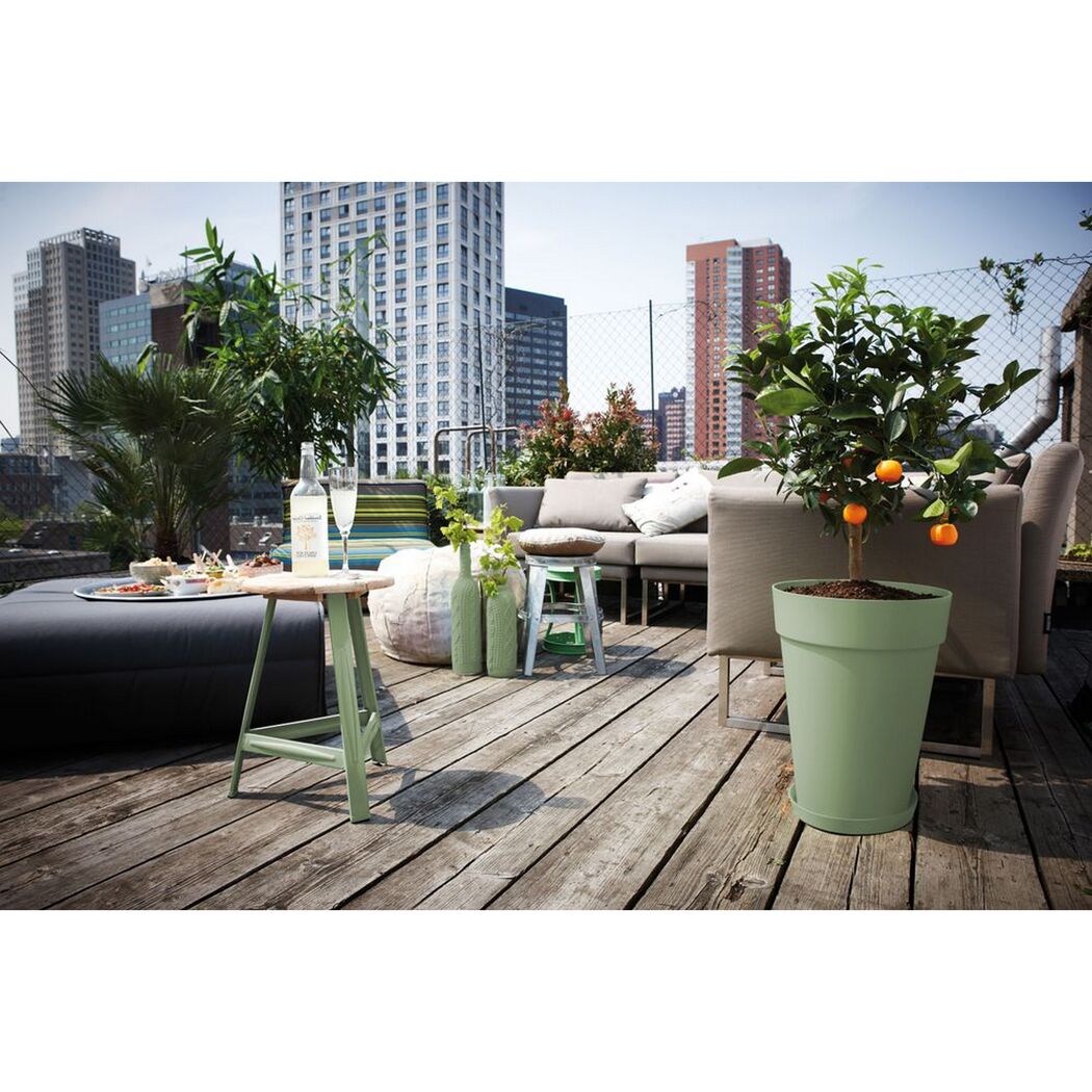 Orangenbaum in einem Topf auf einer Dachterrasse