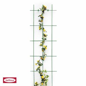 Spalier garten - Die qualitativsten Spalier garten ausführlich verglichen