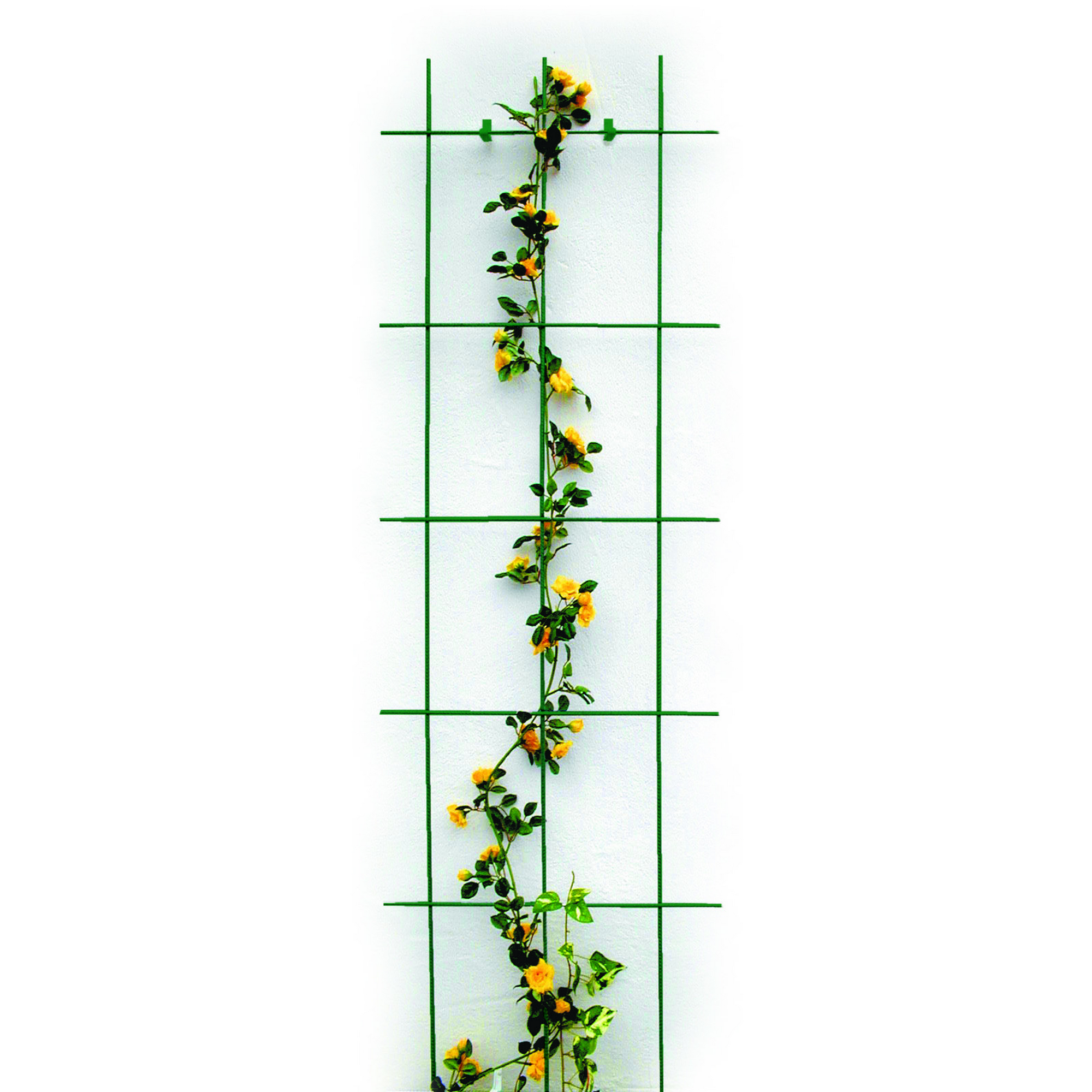 Spalier 3-strebig grün 150 x 45 cm + product picture