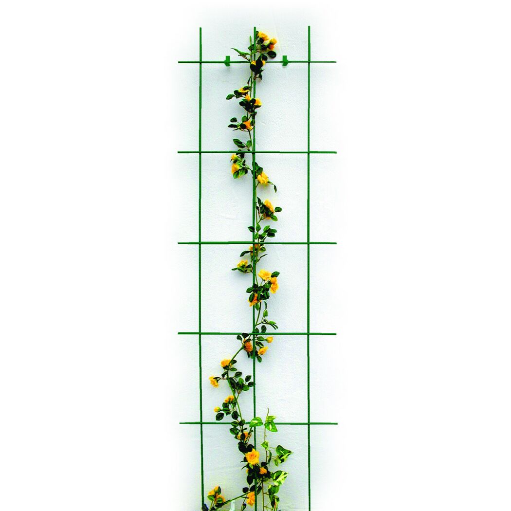 Gelbe Rosen ranken an einem grünen Spalier hoch.