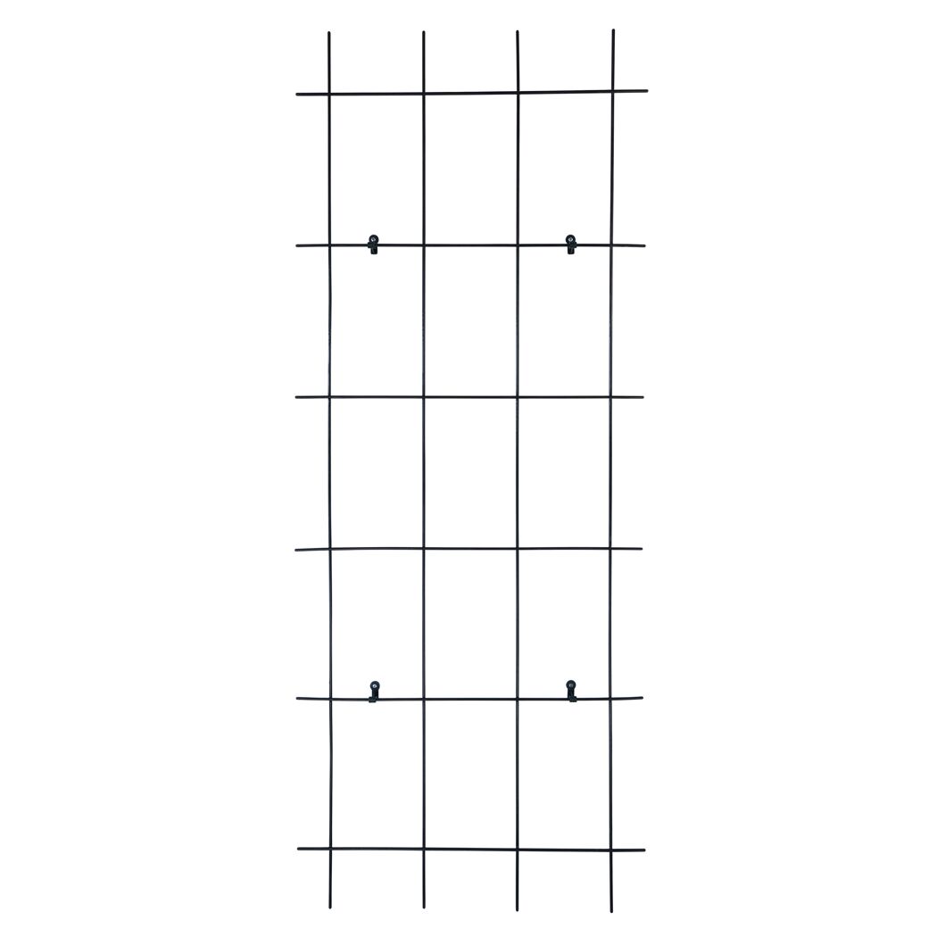 Schwarzes Metallspalier