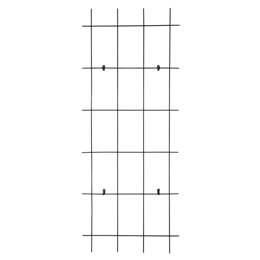 Schwarzes Metallspalier