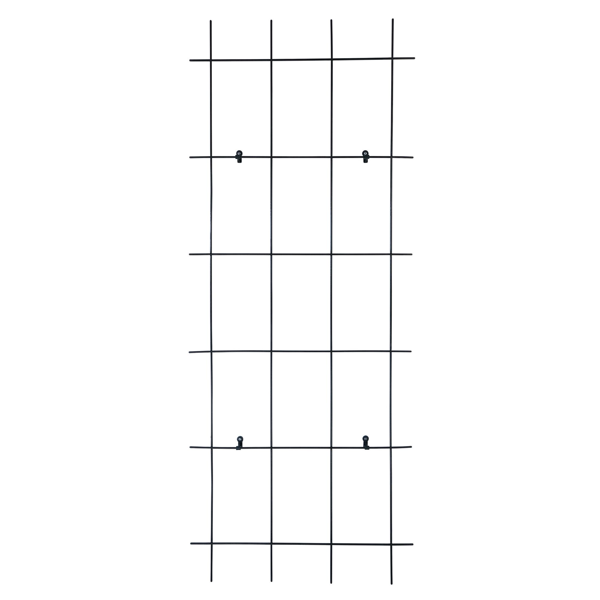 Schwarzes Metallspalier