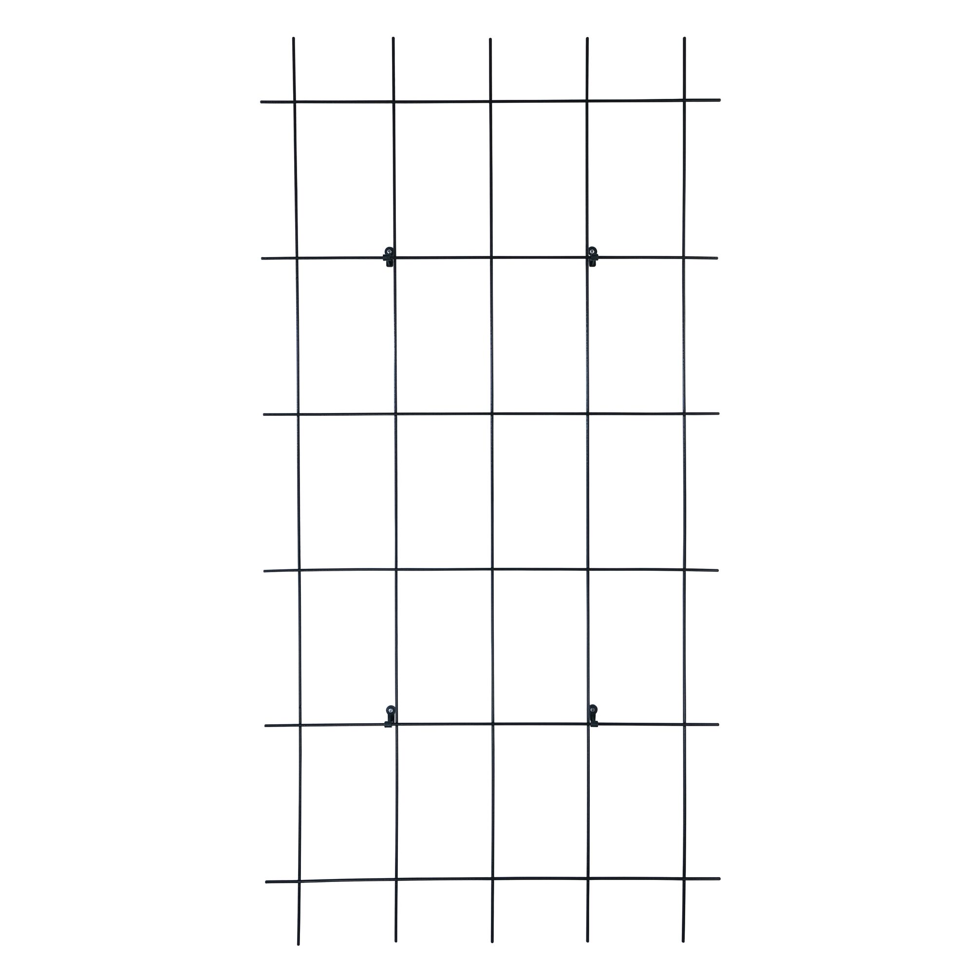 Schwarzes Spalier, fünfstrebig