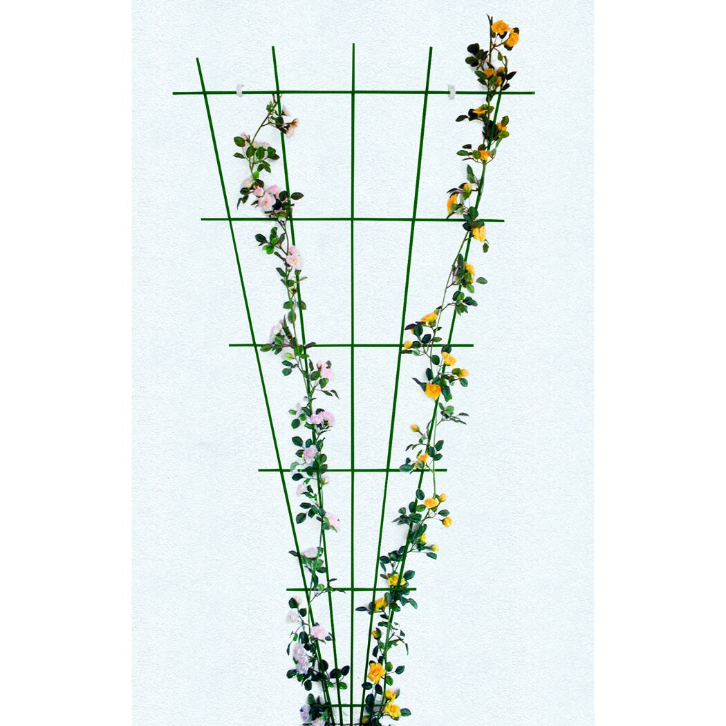 Rosen ranken an einem grünen Rosenspalier empor.