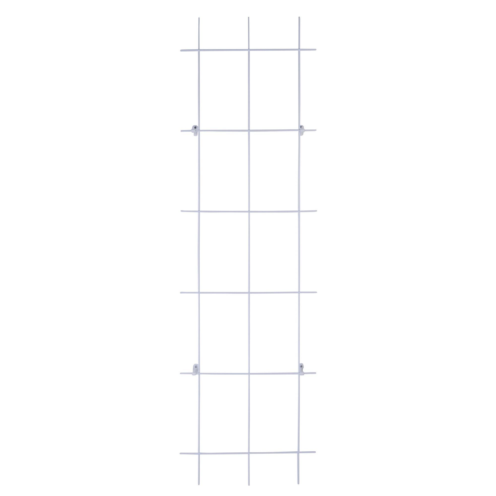 Weißes Spalier, 3-strebig