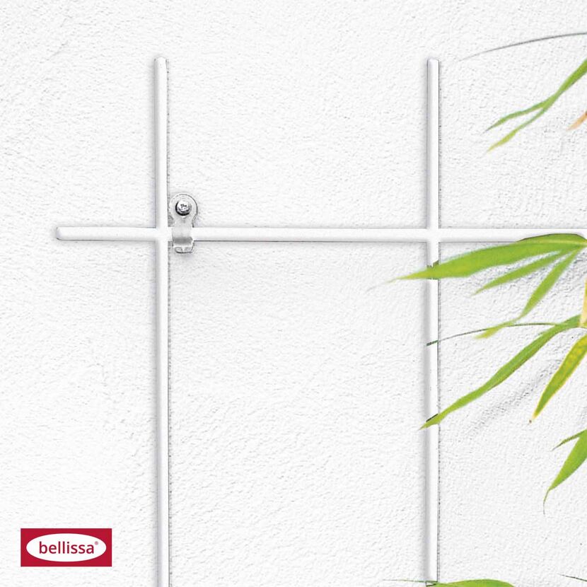 Weißes Spalier an weißer Wand