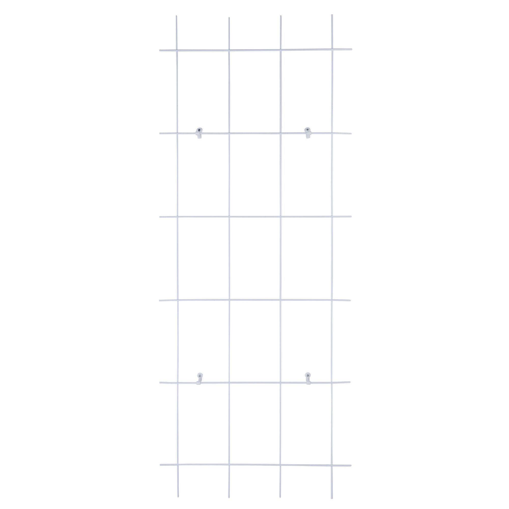 Weißes Spalier, 4-strebig