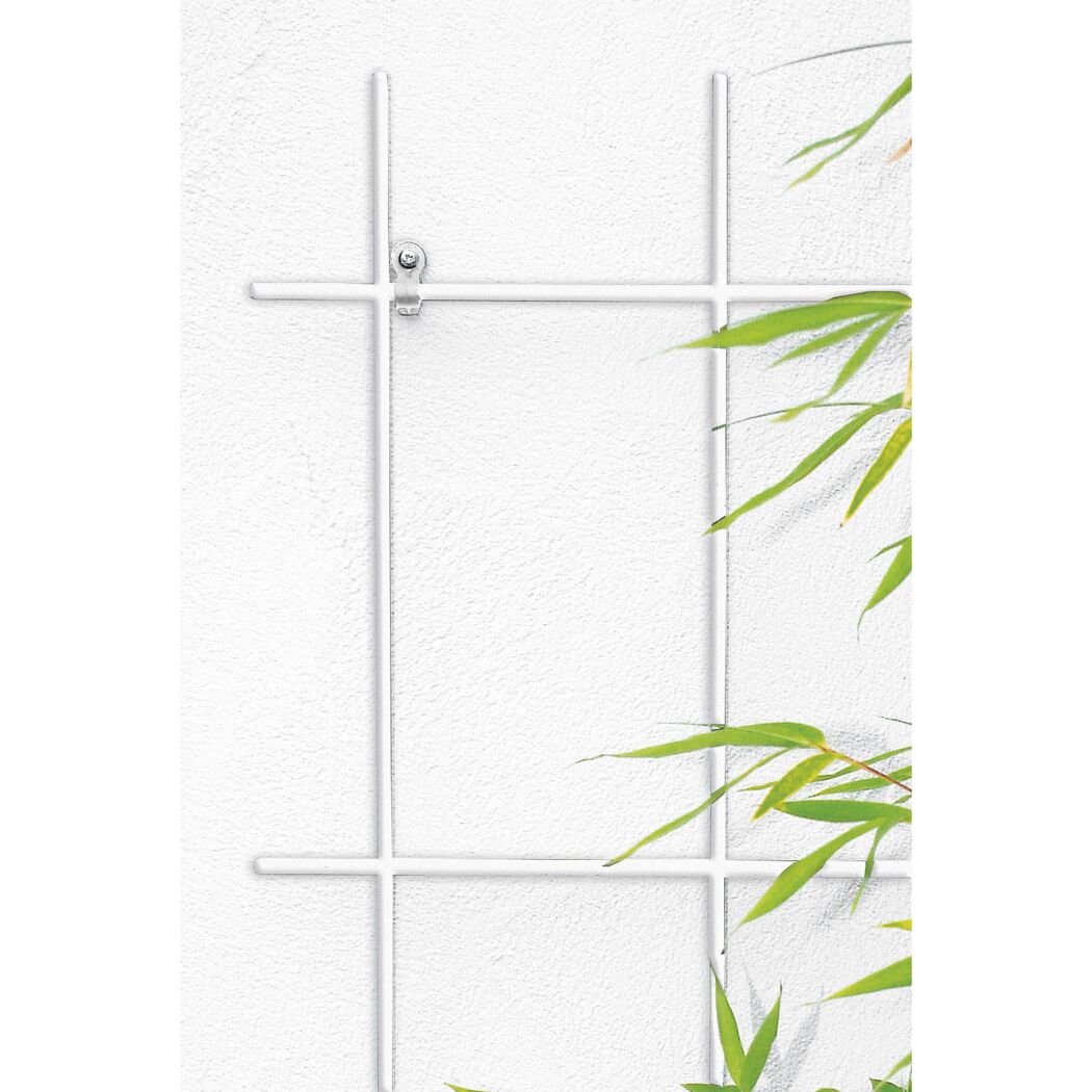Weißes Spalier an weißer Wand