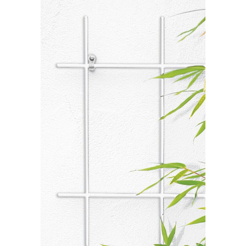 Weißes Spalier an weißer Wand